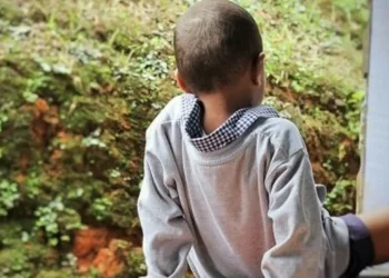 Child Abuse Crisis: Ministry Revives National Committee Amid Alarming Spike in Cases