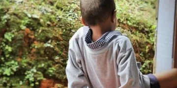 Child Abuse Crisis: Ministry Revives National Committee Amid Alarming Spike in Cases