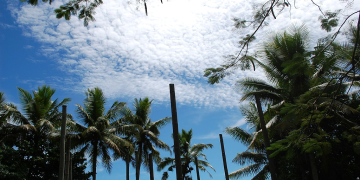 Tabuya: Fiji Joins UNDP BRIDGE Climate Pilot, Kadavu First