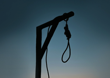 Fiji World Brief: Tennessee Halts Executions as Support Hits 52%