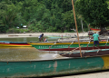 Naidiri Revives 10km of Bleached Fiji Reef Before COP31