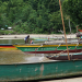 Naidiri Revives 10km of Bleached Fiji Reef Before COP31