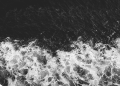 Tanker Ablaze Off Sochi, 23 Saved — No Fiji Price Link